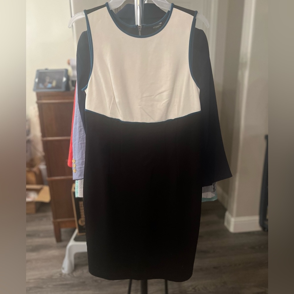 Ann Taylor Dress